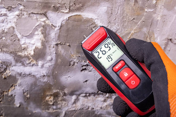 Best Crawl Space Mold Removal  in Canton Valley, CT