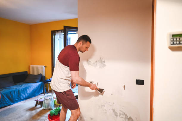 Best Mold Cleaning Services  in Canton Valley, CT